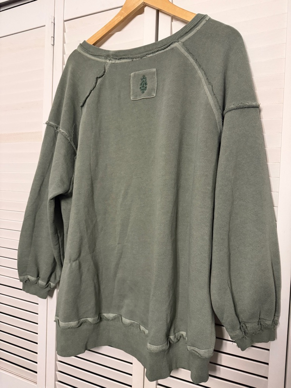 Free People Washed Sage Green Oversized Pullover Sweatshirt - Picture 5 of 6
